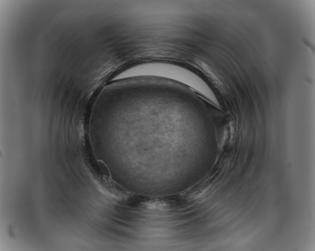 X0000096440500200801311432