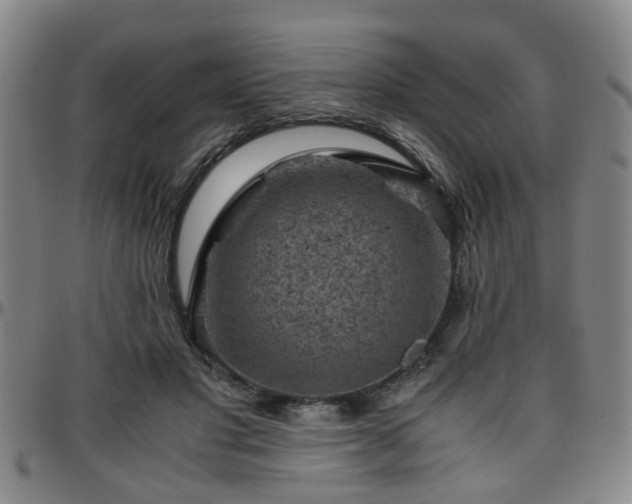 X0000096440501200801311432