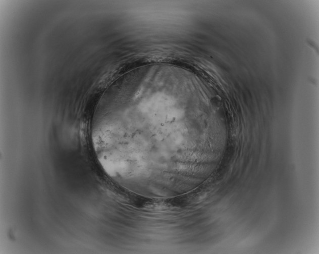 X0000096440503200801311431