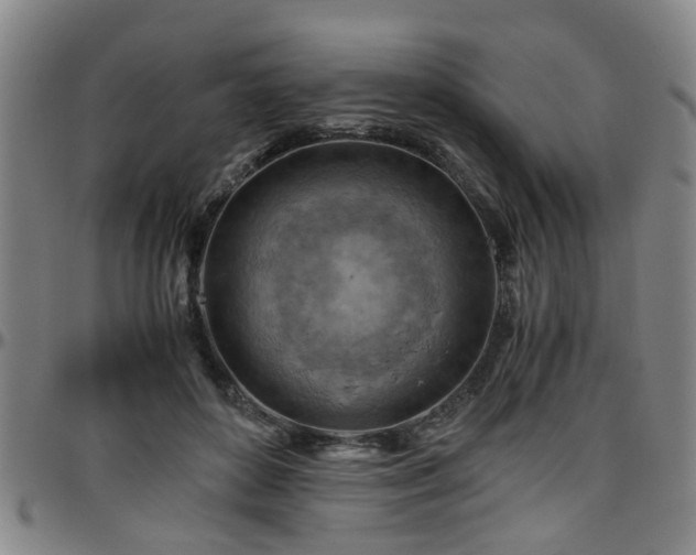 X0000096440504200801311431