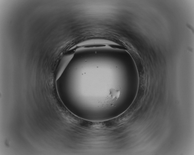 X0000096440505200801311431