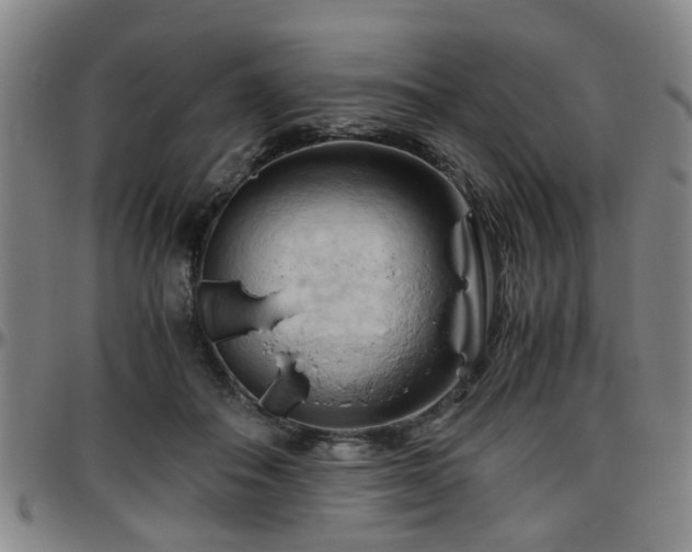 X0000096440506200801311431