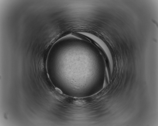 X0000096440508200801311431