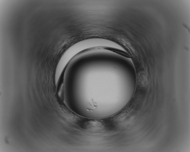 X0000096440509200801311431