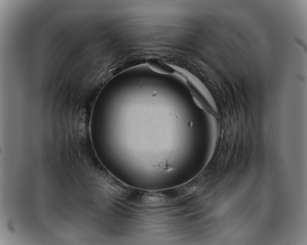 X0000096440510200801311431