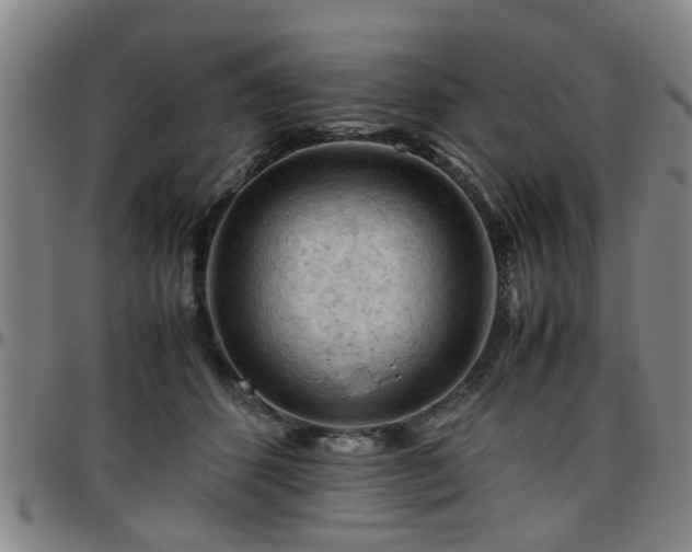 X0000096440512200801311431