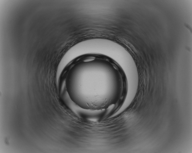 X0000096440513200801311431