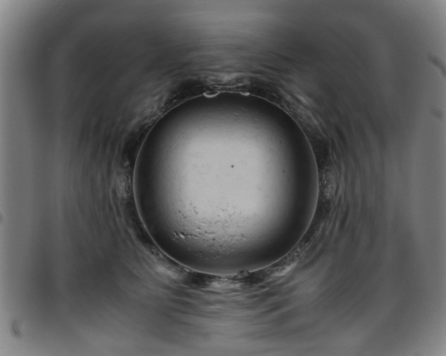 X0000096440515200801311431