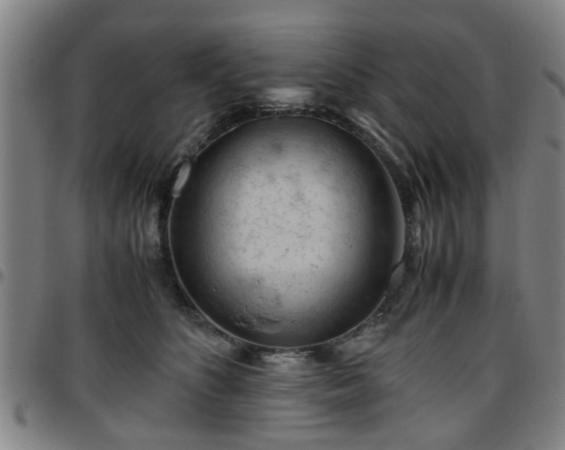 X0000096440516200801311431