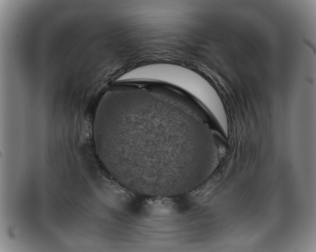 X0000096440517200801311431