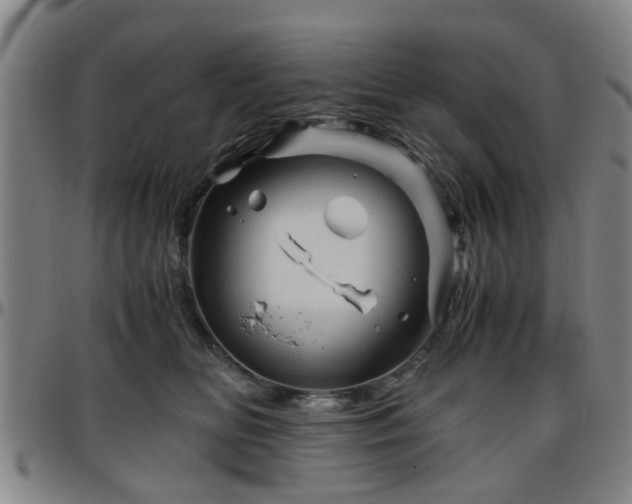 X0000096440518200801311431