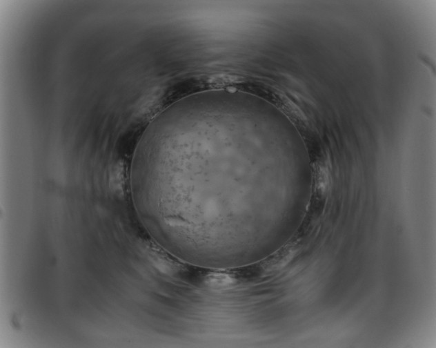 X0000096440519200801311431