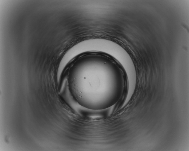 X0000096440520200801311431