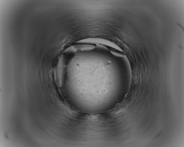 X0000096440523200801311431