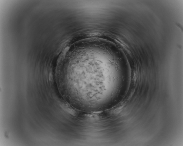 X0000096440524200801311431