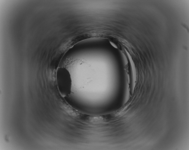 X0000096440525200801311431