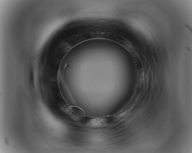 X0000096440526200801311431