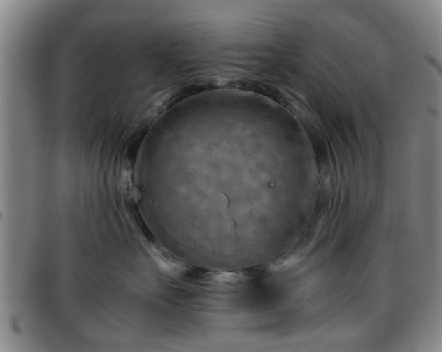 X0000096440527200801311431