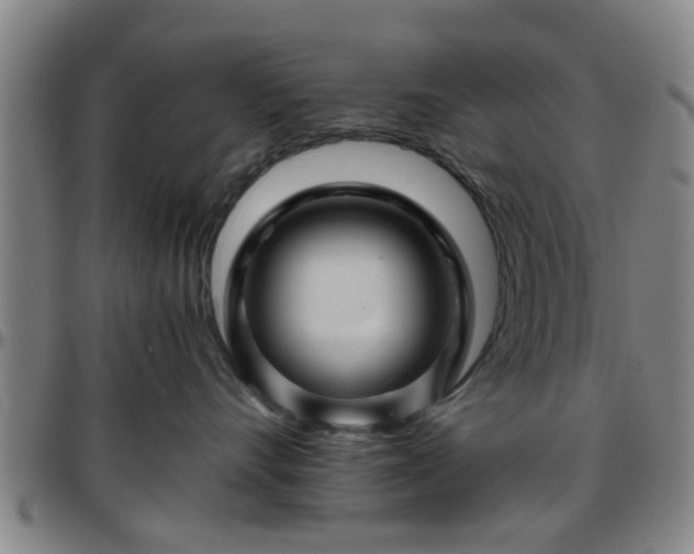 X0000096440528200801311431