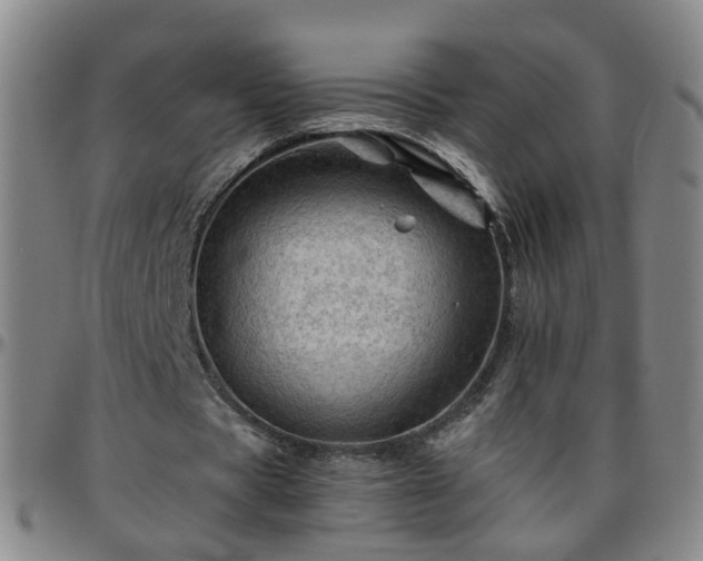 X0000096440529200801311430