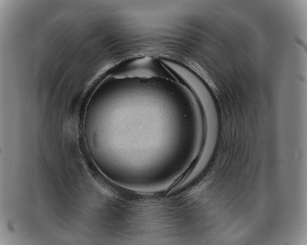 X0000096440530200801311430