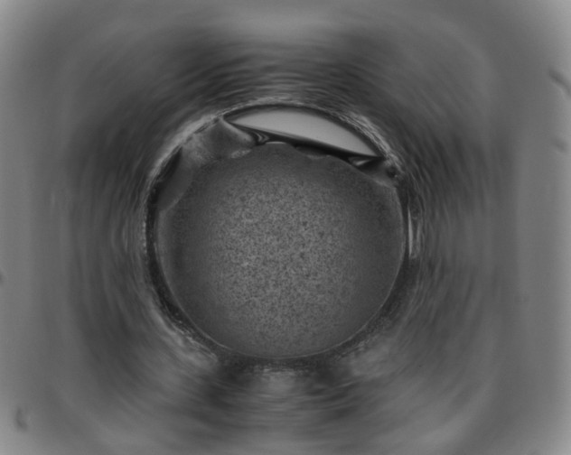 X0000096440531200801311431