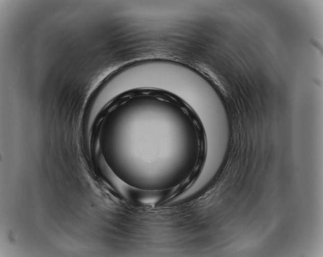 X0000096440532200801311431