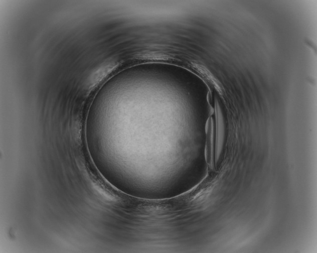 X0000096440533200801311431