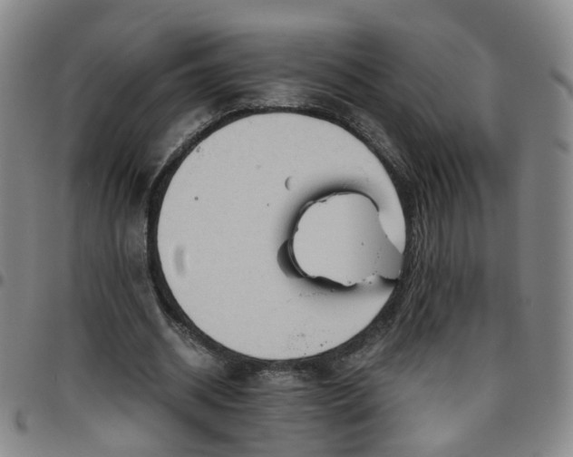 X0000096440534200801311431