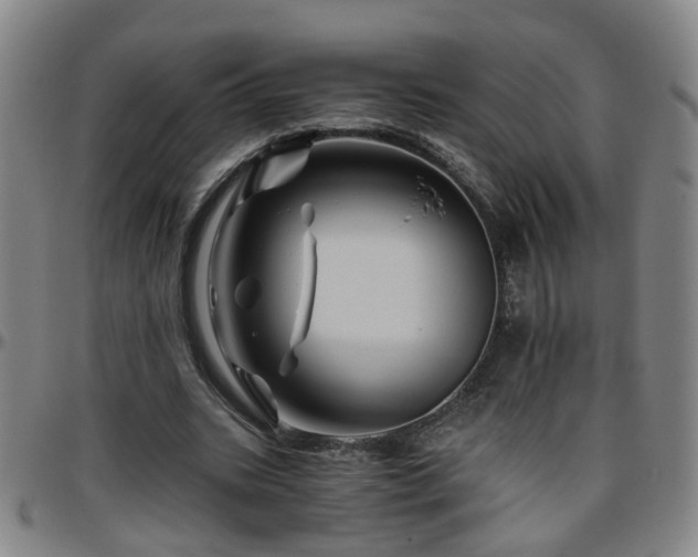 X0000096440535200801311431