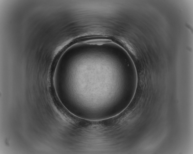 X0000096440536200801311431