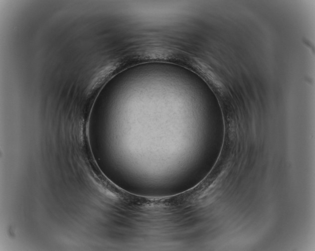 X0000096440537200801311431