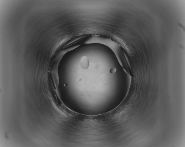 X0000096440538200801311431