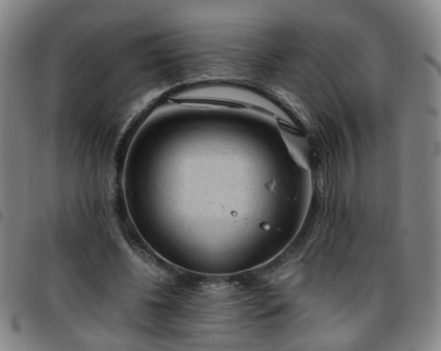 X0000096440540200801311431