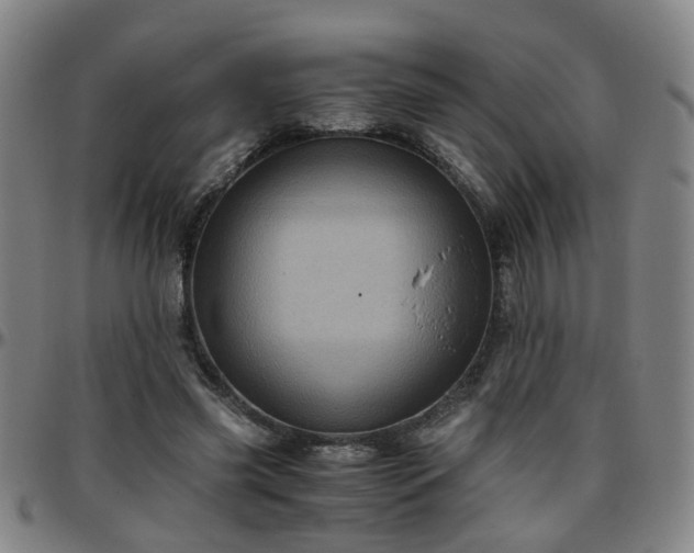 X0000096440541200801311431