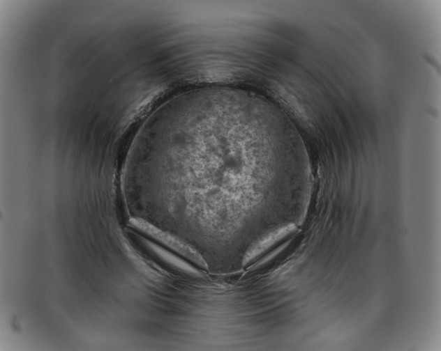 X0000096440542200801311431