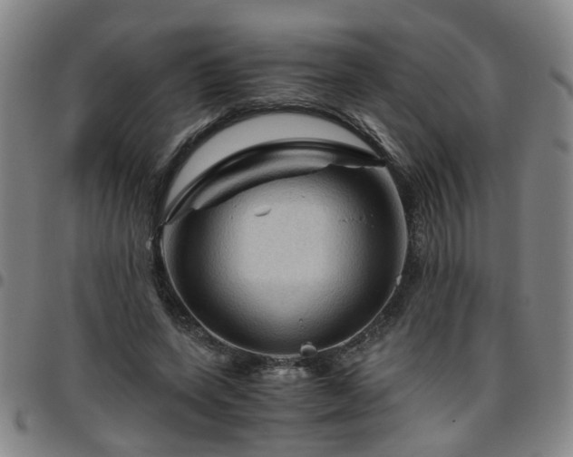 X0000096440543200801311431