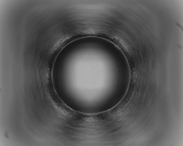 X0000096440544200801311431