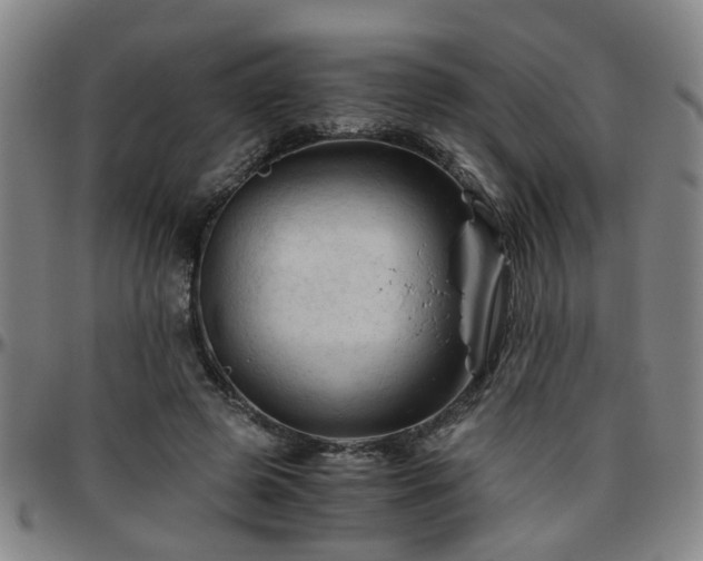 X0000096440545200801311431