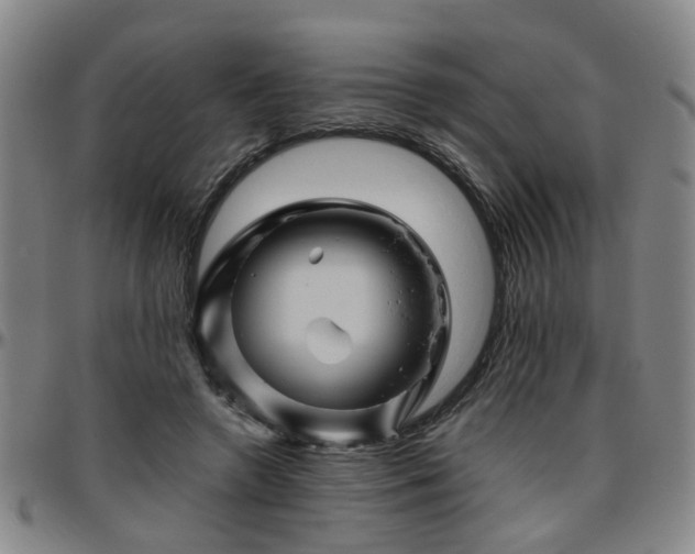 X0000096440546200801311431