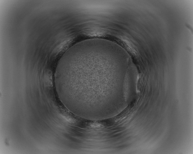 X0000096440547200801311431