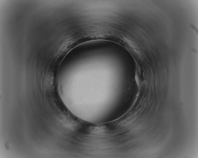 X0000096440548200801311431