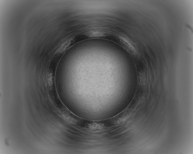 X0000096440549200801311431