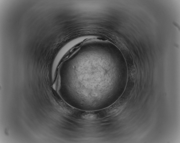 X0000096440551200801311431