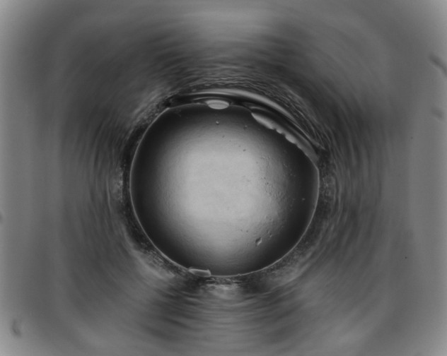 X0000096440552200801311431