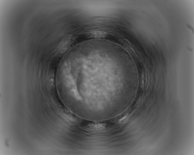 X0000096440553200801311431