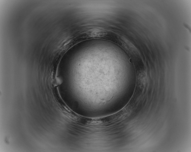 X0000096440554200801311431