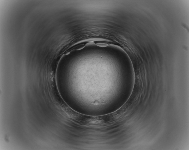 X0000096440555200801311431