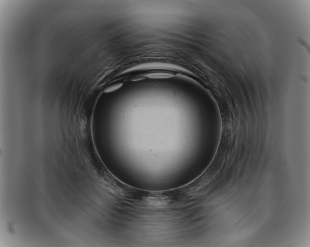 X0000096440556200801311431