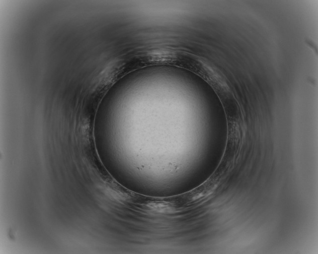 X0000096440557200801311431